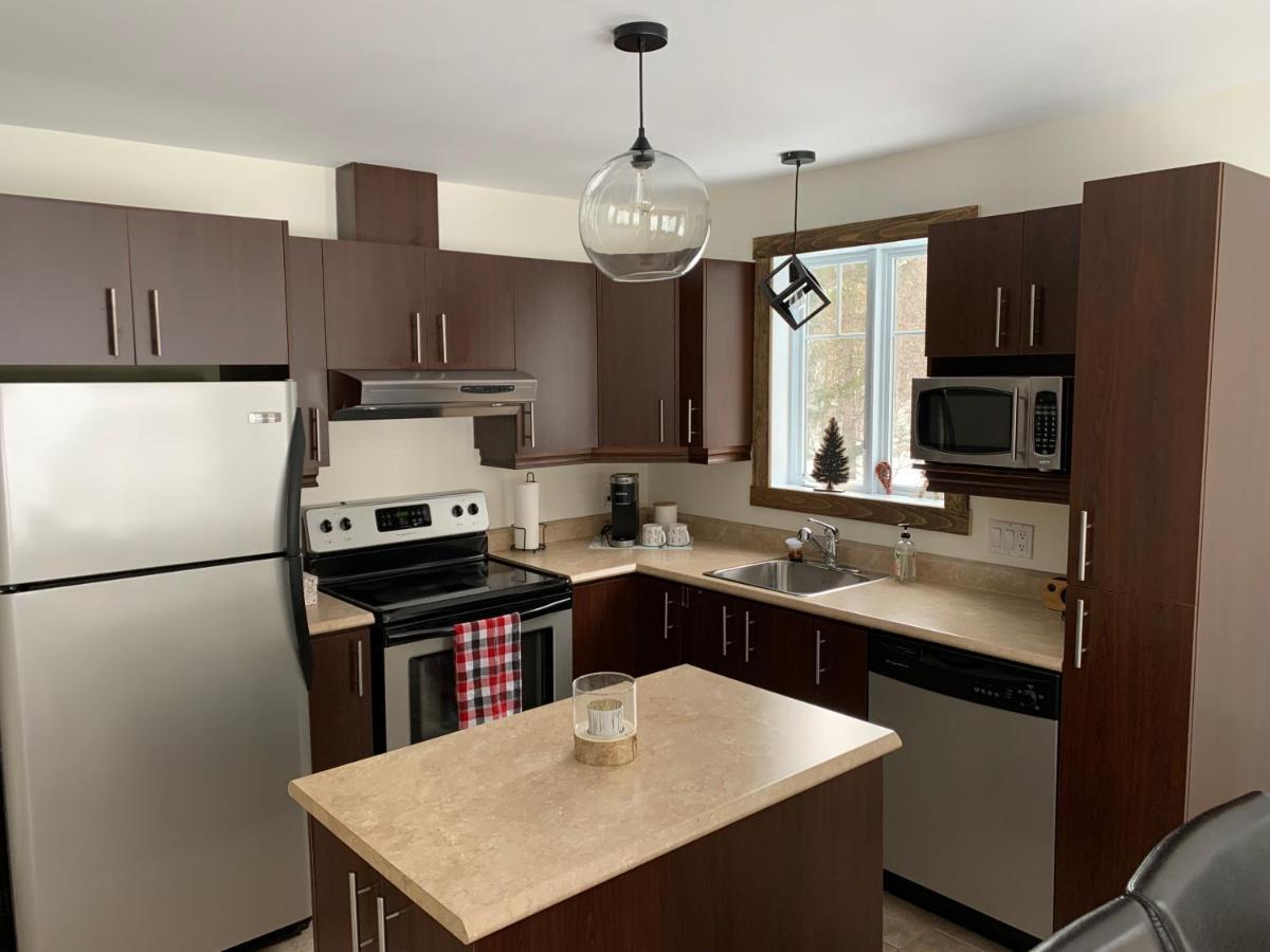 Condo Mont-Edouard 2 L'Anse-Saint-Jean Exterior photo